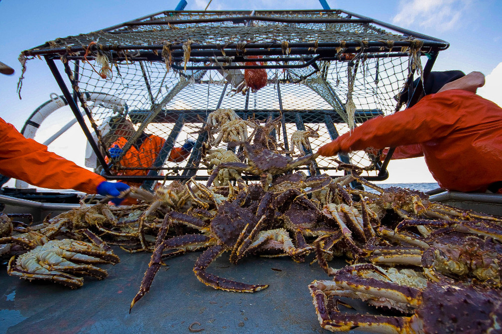 Seafood Media Group - Worldnews - Kamchatka fishing situation