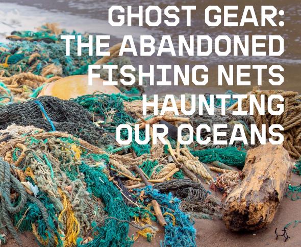 Seafood Media Group - Worldnews - Ghost gear pose a deadly threat to marine  life in the Atlantic