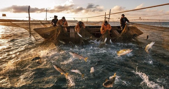 PDF) Illegal, Unreported and Unregulated Pacific Salmon Fishing in Kamchatka