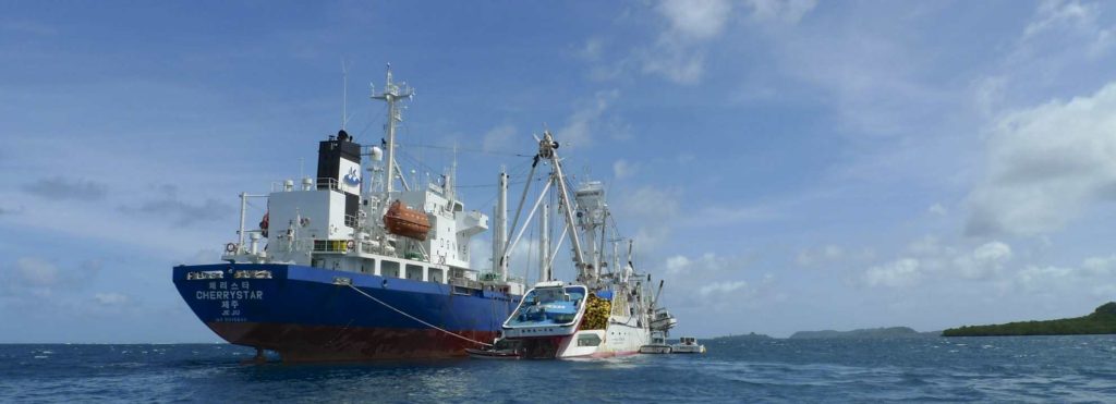 Seafood Media Group - Worldnews - PNA steps up fishing aggregating device  management in Pacific tuna fishery