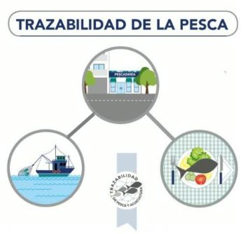 Argentina implementará un sistema de trazabilidad para las redes de la  flota de pesca de arrastre – Instituto de Conservación de Ballenas